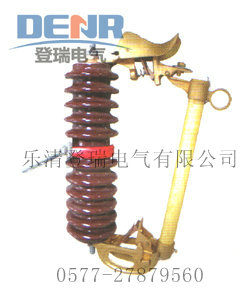 RW3-10/100A户外跌落式熔断器