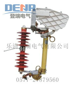 HRW10-10F/100A跌落式熔断器