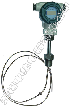 JCJ100ZSX软管式温度传感器